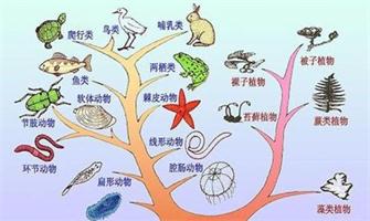 生物領域分析